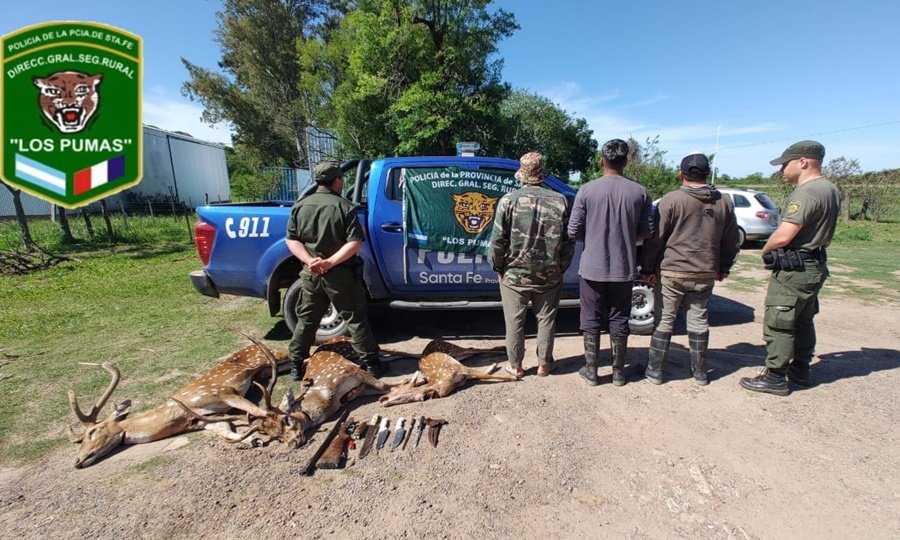 Personal de Los Pumas realiza la aprehensión en el marco del operativo rural.