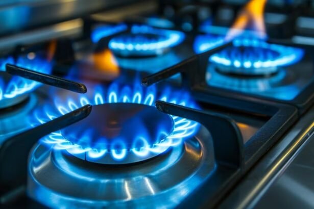 Uso cotidiano del gas en hogares argentinos para calefacción, cocina y agua caliente durante los meses de mayor consumo.