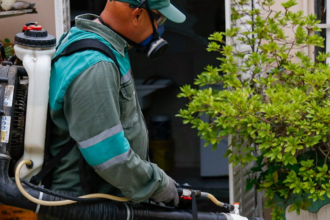 Personal municipal realiza tareas de descacharrado y prevención contra el dengue en los barrios de Santa Fe.