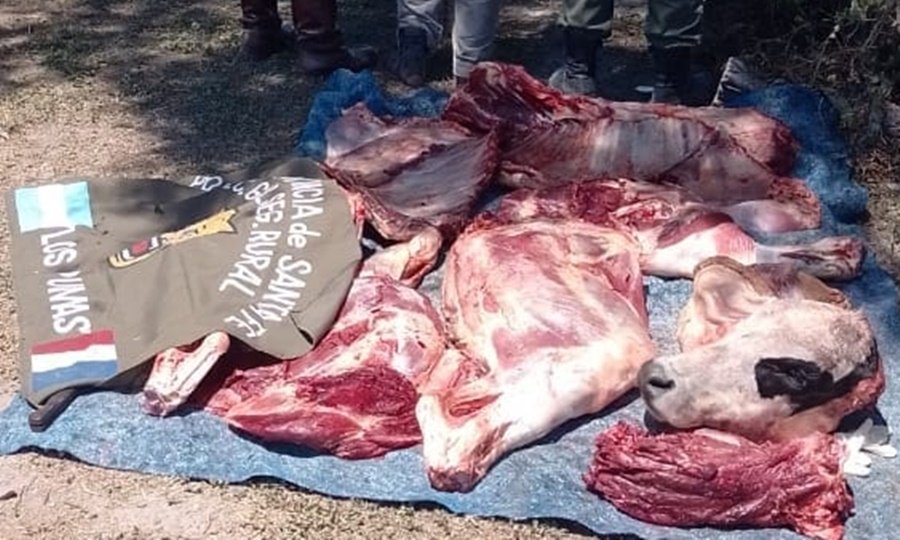 Elementos cárnicos secuestrados durante el operativo rural llevado a cabo por la Guardia Los Pumas.
