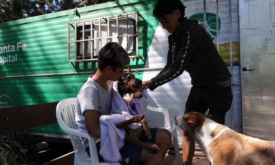 Jornada de castraciones y atención veterinaria gratuita organizada por el Imusa en barrios de Santa Fe. Foto de archivo.