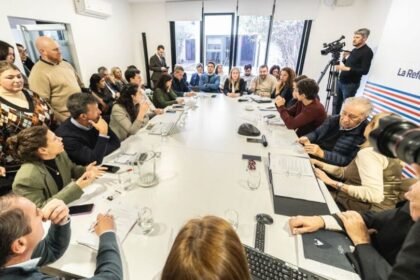 comision de la reforma de la constitucion derechos y garantias