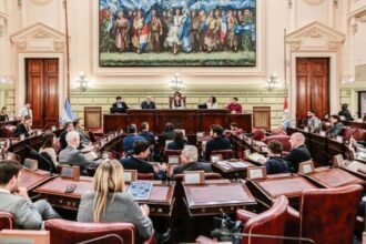 Comisión Funcionamiento del Estado y participación ciudadana: el 4 de agosto se realizará una audiencia pública