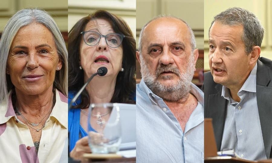 Diputados Verónica Baró Graf, Carlos Del Frade, Alicia Azanza y Omar Paredes