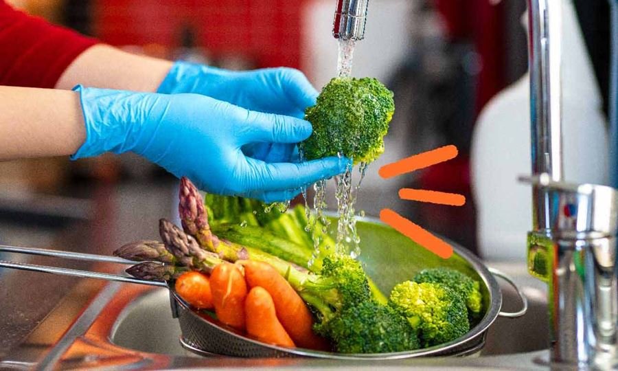 laguna paiva un CURSO DE MANIPULACIÓN SEGURA DE LOS ALIMENTOS