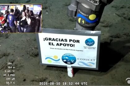 Terminó expedición submarina del Conicet en Mar del Plata: "¡Gracias por el apoyo!"