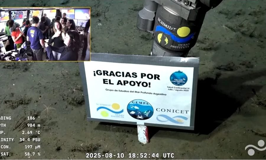 Terminó expedición submarina del Conicet en Mar del Plata: "¡Gracias por el apoyo!"