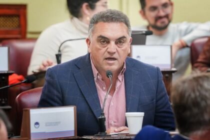 Hoffmann critico con los Convencionales de LLA