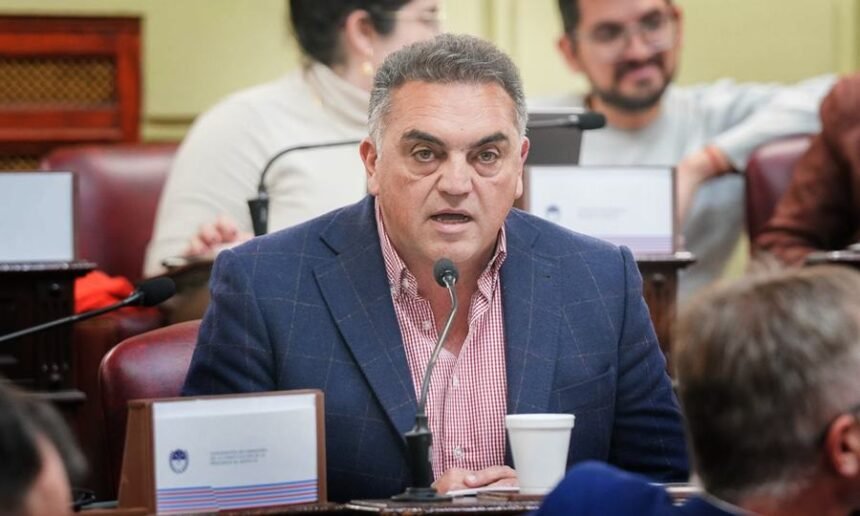 Hoffmann critico con los Convencionales de LLA
