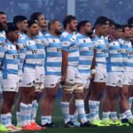 los pumas