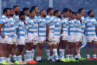los pumas