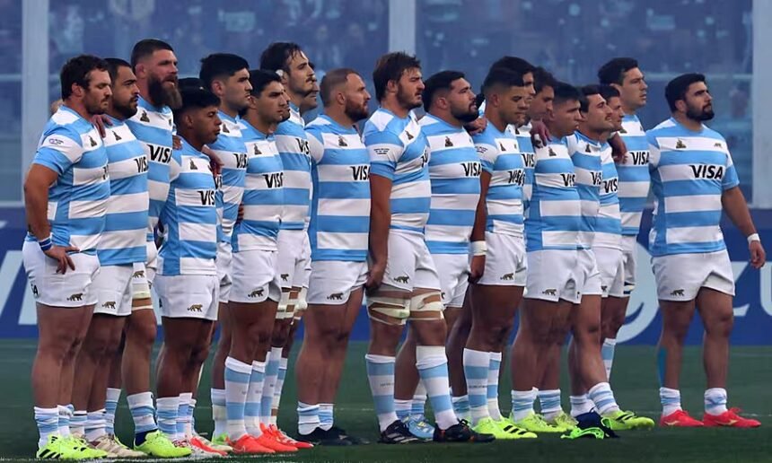 los pumas