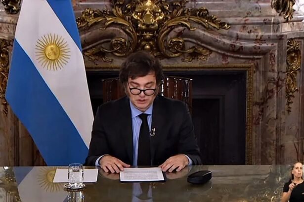 Javier Milei durante una cadena nacional. Foto de archivo.