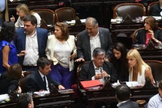 La oposición criticó los vetos al aumento de las jubilaciones y la emergencia en discapacidad