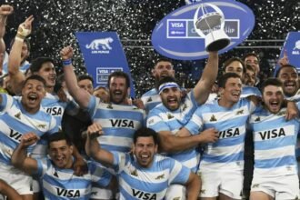 los pumas