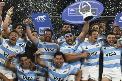 los pumas