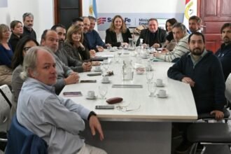 Paritaria de salud: el Gobierno ofreció un aumento del 7 % semestral, con mínimos garantizados