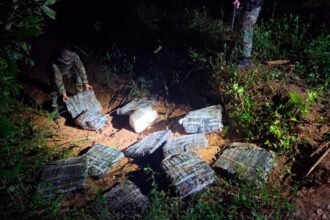 Encontraron un cargamento con ampollas de fentanilo en Misiones, en la frontera con Paraguay