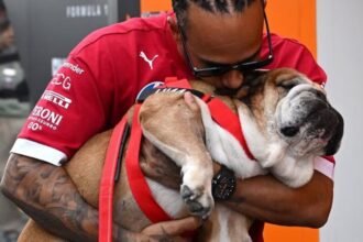 Lewis Hamilton despidió a Roscoe, la mascota más querida de la Fórmula 1