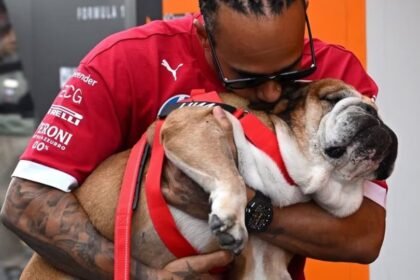 Lewis Hamilton despidió a Roscoe, la mascota más querida de la Fórmula 1