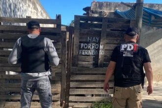 La investigación se inició a partir de tareas de análisis criminal llevadas adelante por el Equipo de Microtráfico de la Fiscalía General.