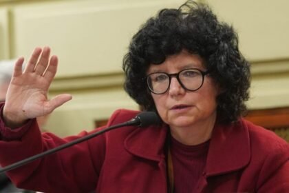 Silvia Malfesi, Diputada Provincial de Santa Fe y Convencional Constituyente