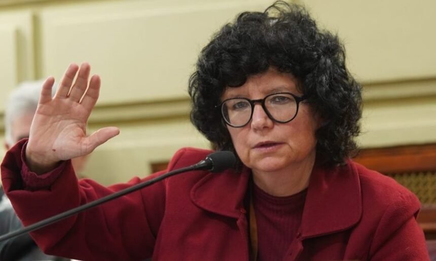 Silvia Malfesi, Diputada Provincial de Santa Fe y Convencional Constituyente