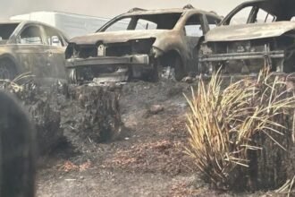 Brigadistas y aviones hidrantes combaten un incendio de gran magnitud en el Parque Nacional Quebrada del Condorito, Córdoba.