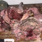 Carne faenada secuestrada por efectivos de “Los Pumas” durante un operativo rural por un caso de abigeato. (Foto de archivo)