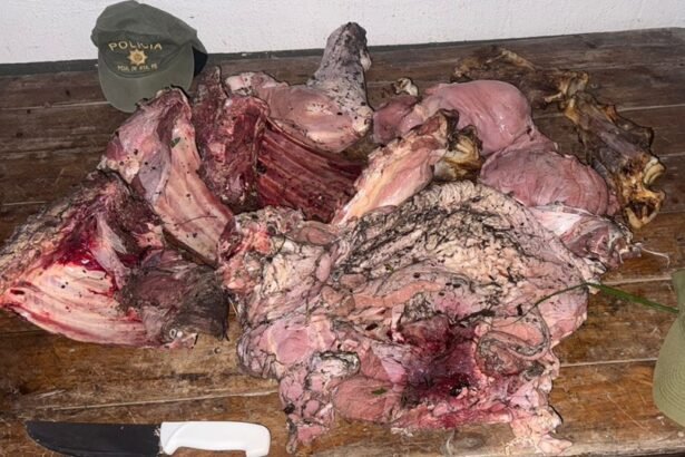 Carne faenada secuestrada por efectivos de “Los Pumas” durante un operativo rural por un caso de abigeato. (Foto de archivo)