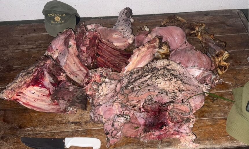 Carne faenada secuestrada por efectivos de “Los Pumas” durante un operativo rural por un caso de abigeato. (Foto de archivo)