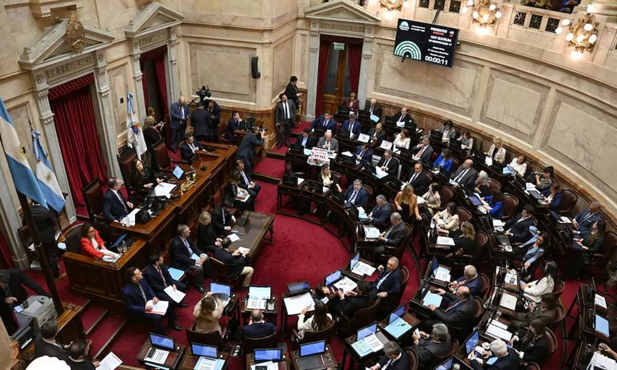 Senadores durante la sesión en la que se rechazaron los vetos presidenciales y se restablecieron las leyes sobre el Garrahan y las universidades.