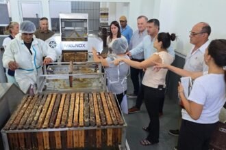 Sala de extracción de miel con equipamiento técnico utilizado por cooperativas apícolas de la región.