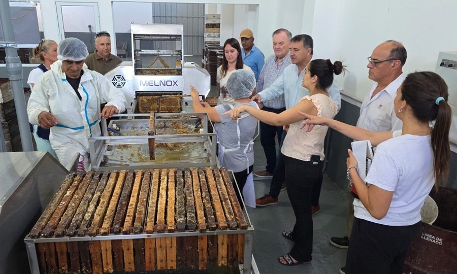 Sala de extracción de miel con equipamiento técnico utilizado por cooperativas apícolas de la región.