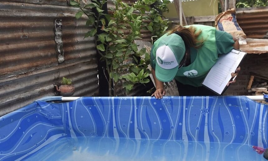 El monitoreo del mosquito Aedes aegypti es clave para prevenir brotes de dengue en la ciudad de Santa Fe.