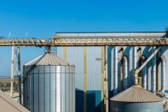 Terminal portuaria de COFCO International en Timbúes, punto estratégico del complejo agroexportador santafesino y de las exportaciones argentinas al mundo.