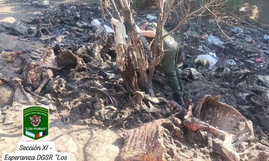 Operativo de control rural de la Guardia Rural “Los Pumas” en la región centro de Santa Fe.