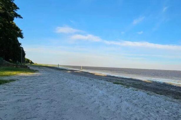 Vista general de la Laguna del Plata, uno de los paisajes naturales más representativos del centro-norte santafesino.