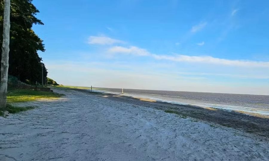 Vista general de la Laguna del Plata, uno de los paisajes naturales más representativos del centro-norte santafesino.