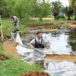 Tareas de mantenimiento y limpieza en espacios verdes y cuerpos de agua de la ciudad.