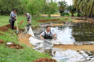Tareas de mantenimiento y limpieza en espacios verdes y cuerpos de agua de la ciudad.
