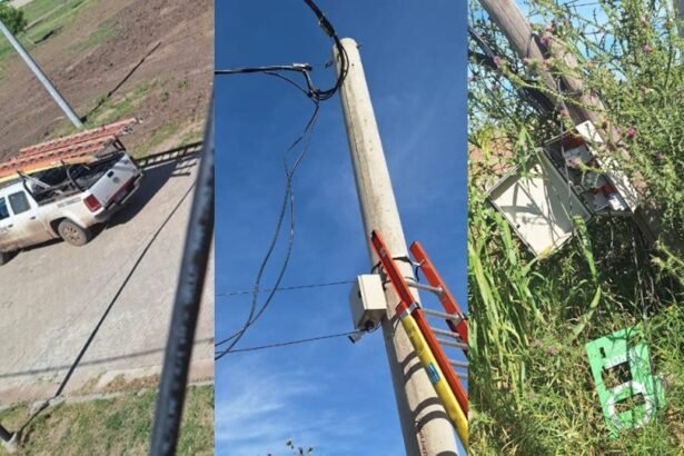 Personal de la Empresa Provincial de la Energía realizando controles sobre conexiones irregulares.