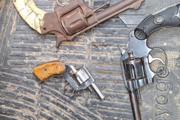 Armas de fuego incautadas durante operativos policiales en Santa Fe.