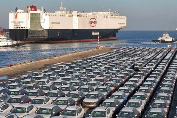 Descarga de autos eléctricos de la automotriz BYD en el puerto de Zárate, destinados al mercado argentino.