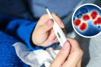 La Influenza A H3N2 es un virus respiratorio que se transmite principalmente por gotitas al toser, estornudar o hablar, y por el contacto con superficies contaminadas; la vigilancia epidemiológica y la vacunación son claves para prevenir contagios y reducir complicaciones.