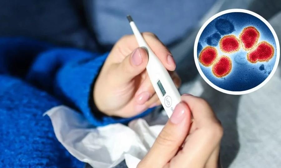 La Influenza A H3N2 es un virus respiratorio que se transmite principalmente por gotitas al toser, estornudar o hablar, y por el contacto con superficies contaminadas; la vigilancia epidemiológica y la vacunación son claves para prevenir contagios y reducir complicaciones.