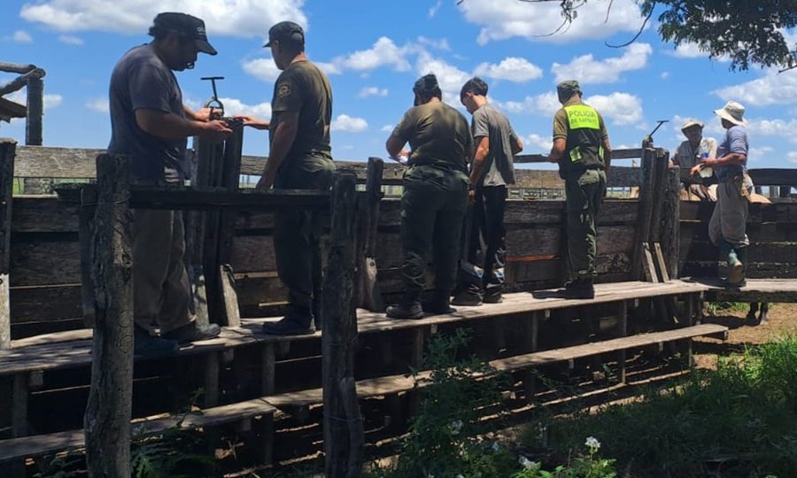 Efectivos de la Sección Rural N°14 durante un operativo de control e investigación en zona rural de San Javier.