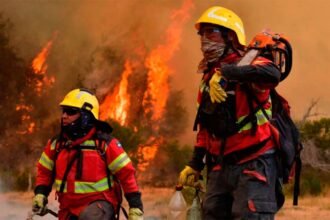 Bomberos voluntarios combaten un incendio forestal en la Patagonia.