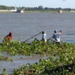 Trabajadores municipales realizan tareas manuales de limpieza y remoción de camalotes en las orillas de la Laguna Setúbal, en la zona de la Costanera Este de Santa Fe.