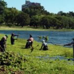 Cuadrillas municipales realizan tareas de limpieza manual en el lago y los piletones del Parque del Sur para preservar el equilibrio ambiental.